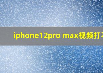 iphone12pro max视频打不开